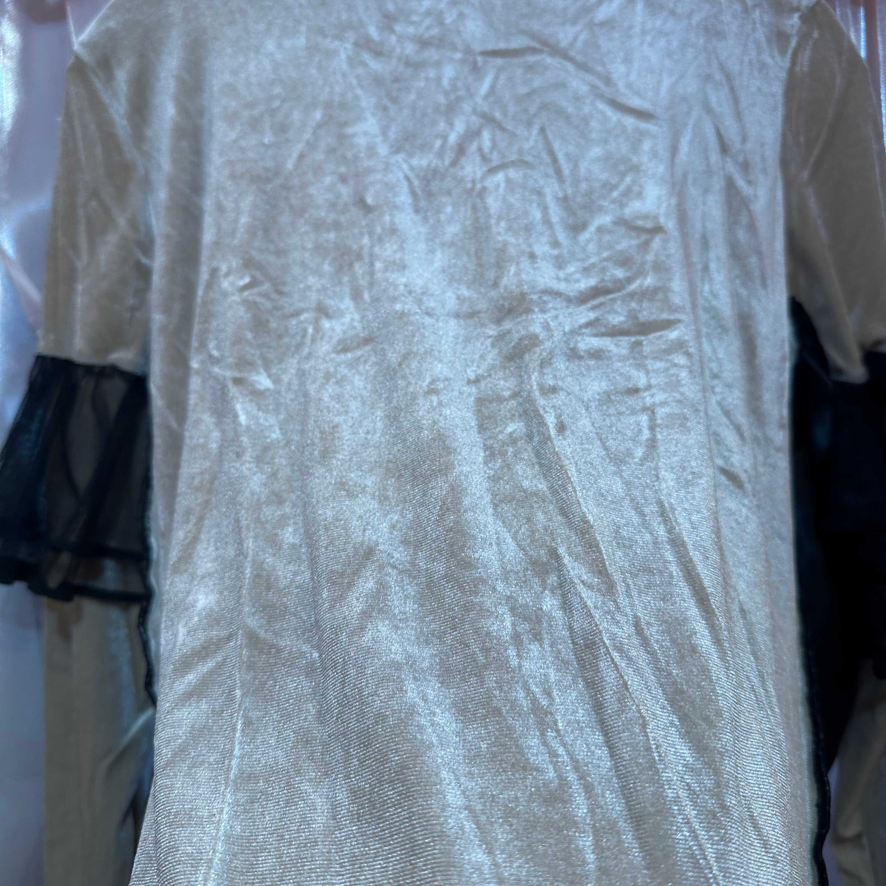 ベージュベルベットトップス